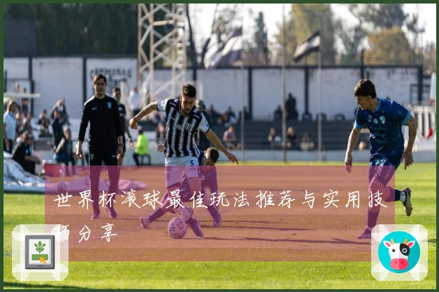世界杯滚球最佳玩法推荐与实用技巧分享