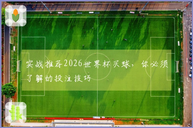 实战推荐2026世界杯买球，你必须了解的投注技巧