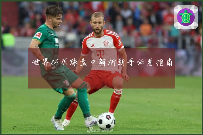 世界杯买球盘口解析新手必看指南