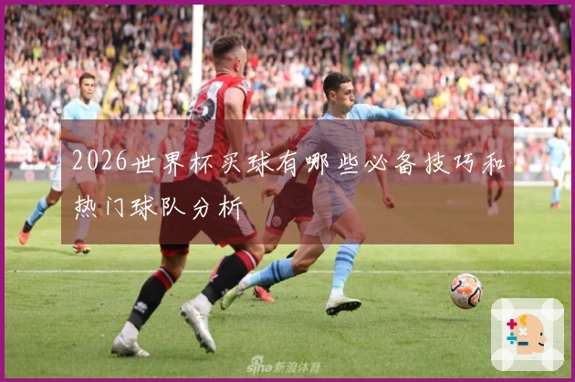 2026世界杯买球有哪些必备技巧和热门球队分析