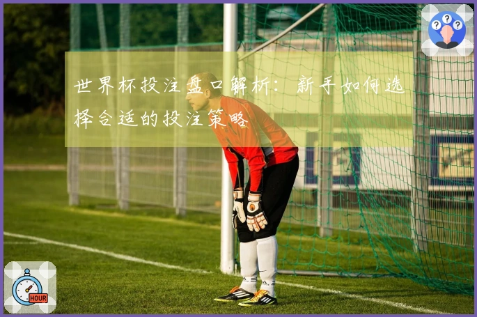 世界杯投注盘口解析：新手如何选择合适的投注策略